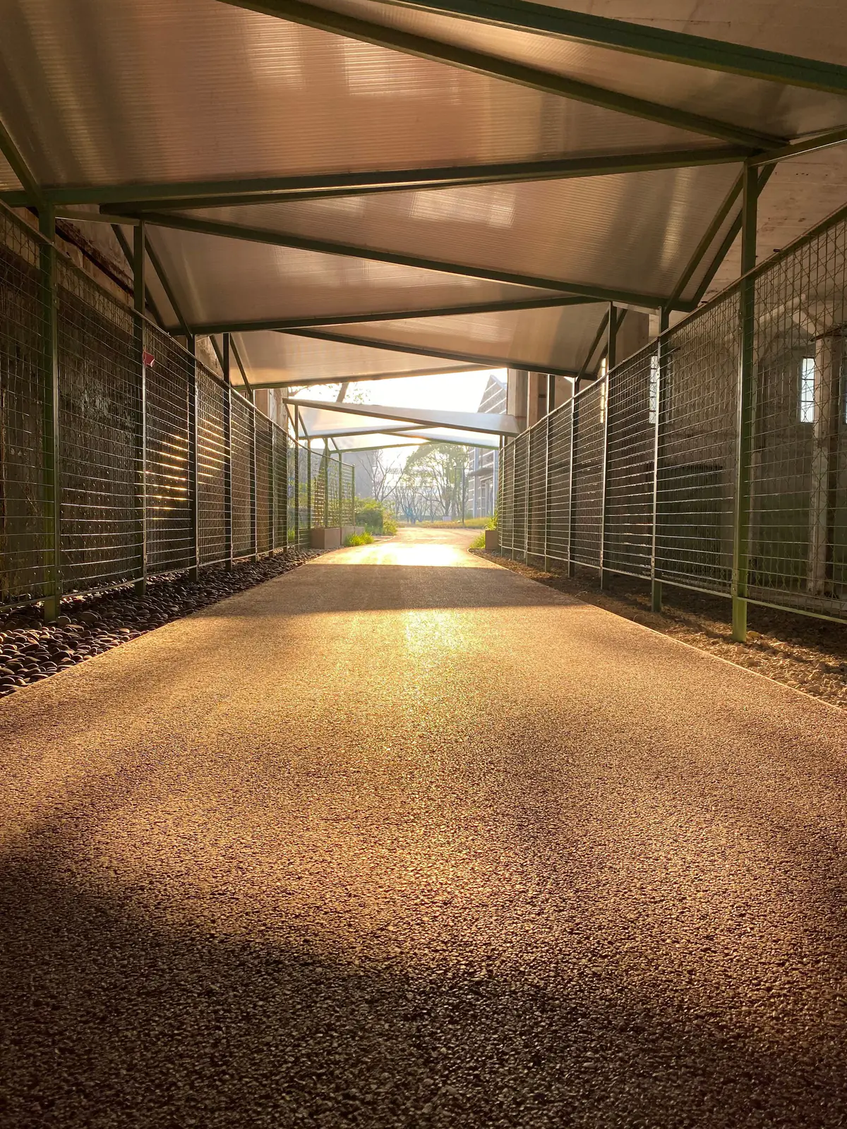 Passagem coberta com estrutura metálica e iluminação natural ao entardecer